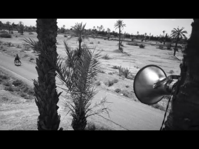 Seeed - TICKET (official Video)