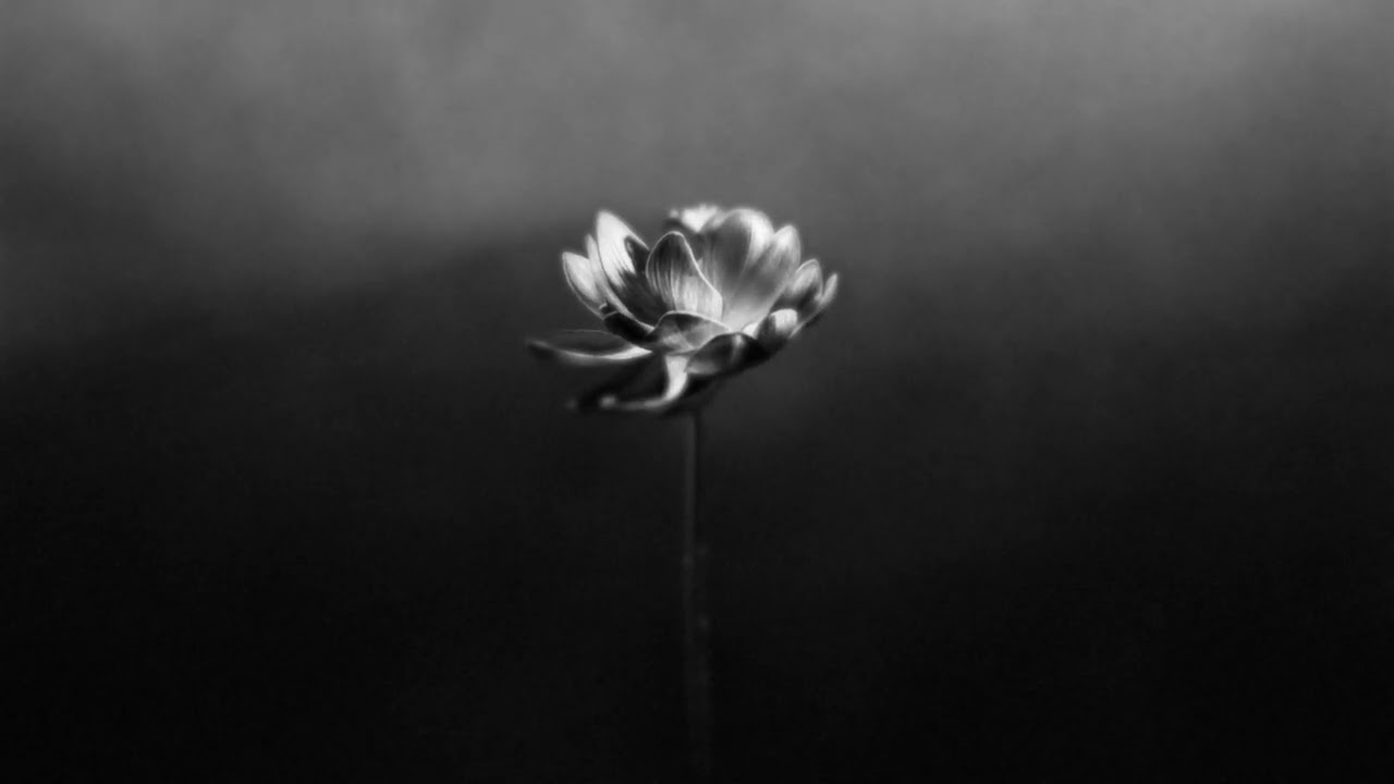 Little Simz - Free (Official Audio)