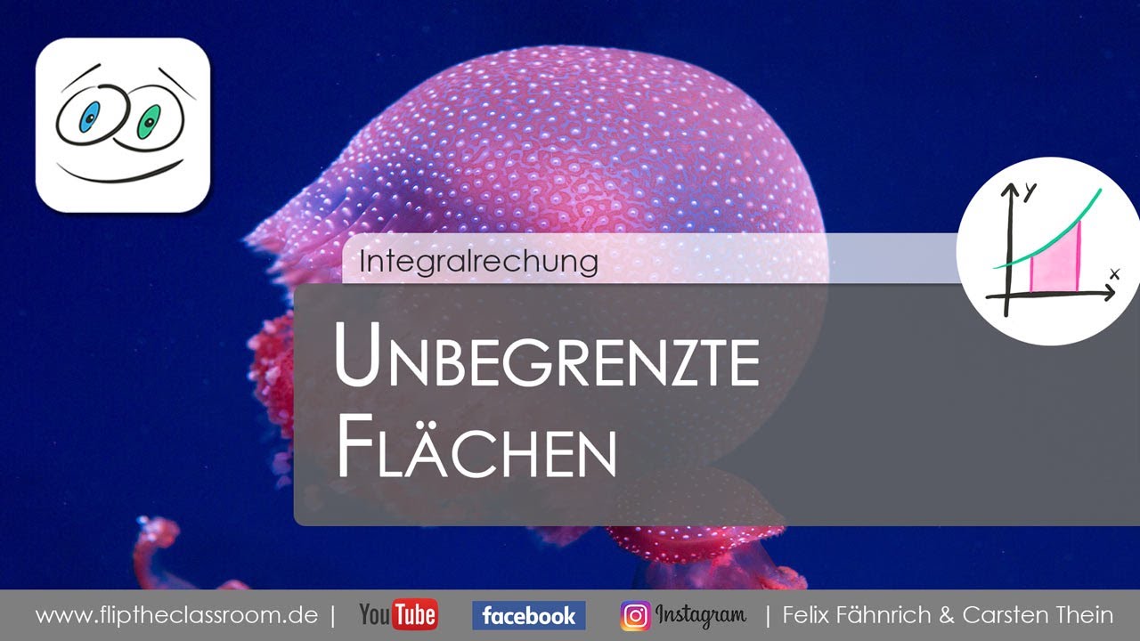 Unbegrenzte Flächen | Integralrechnung | Flip the Classroom