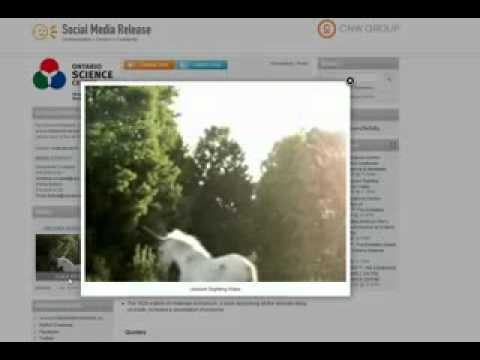 Unicorn Sighting In Canada