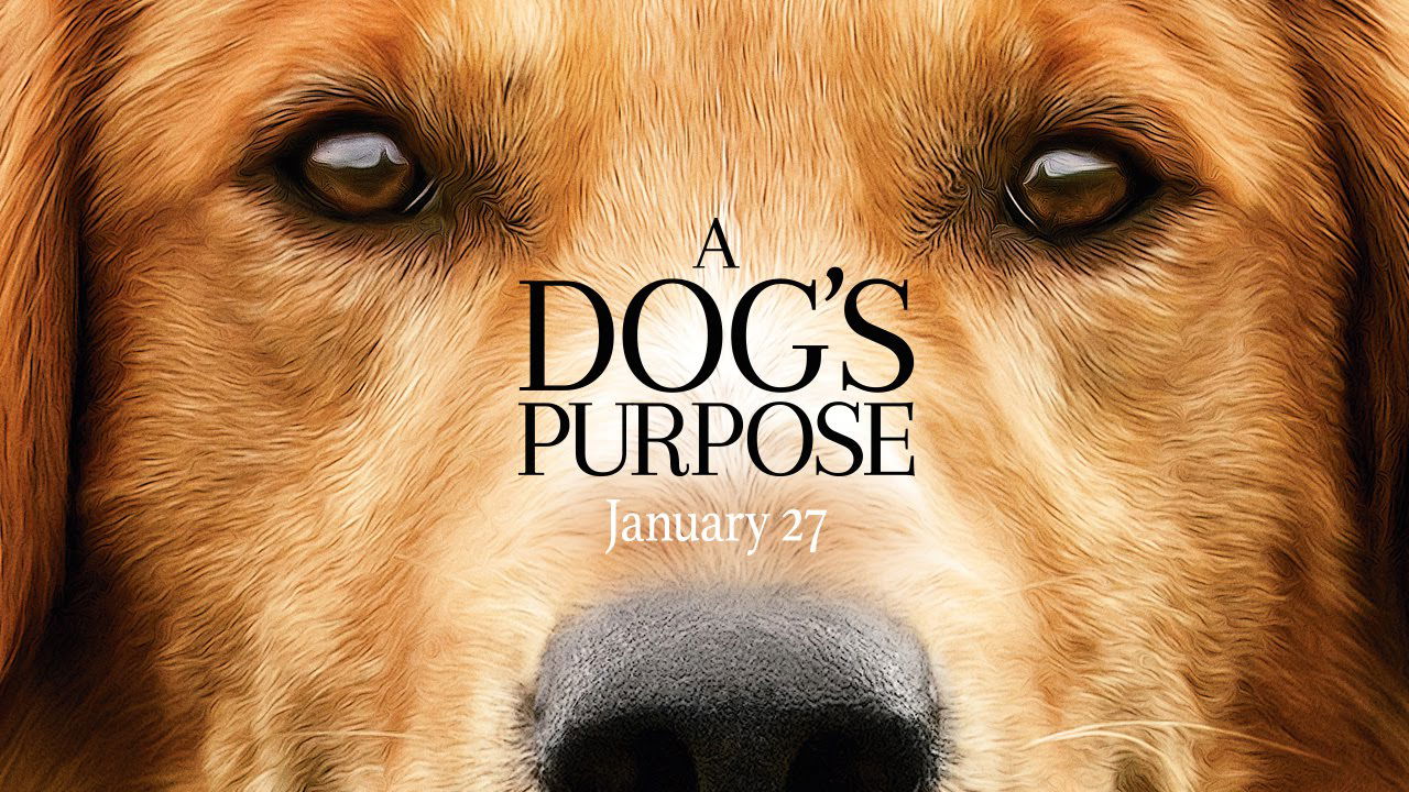 A Dog's Purpose - Official Trailer (HD)