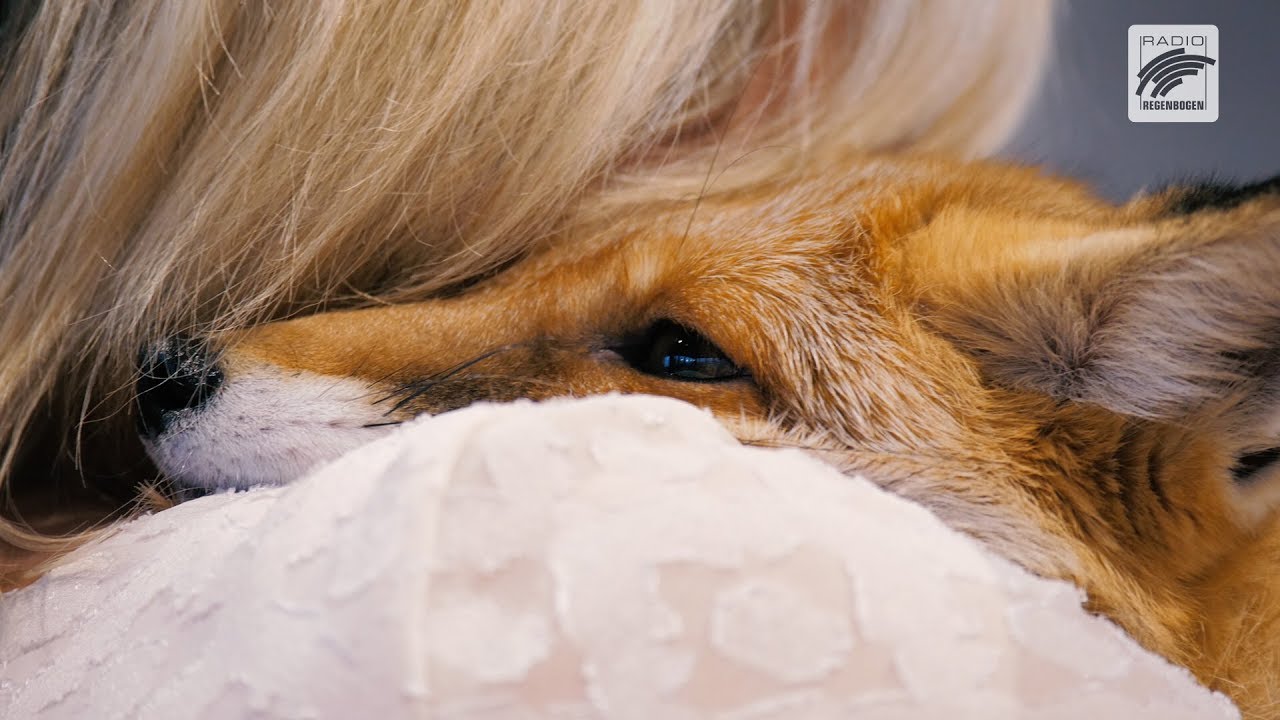 Hörerin Uta trifft die Füchsin Foxy - Ihr Lebenstraum geht in Erfüllung:!