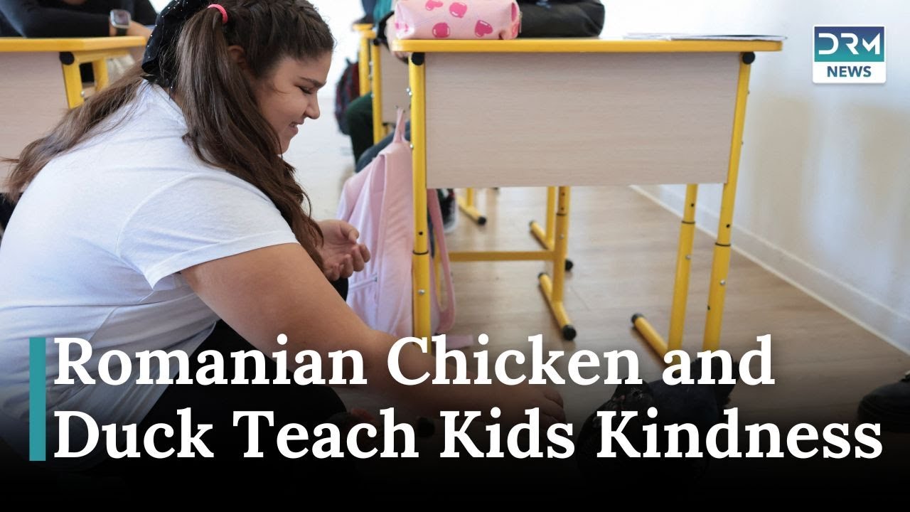 Rescue Animals Help Romanian Kids Learn Empathy | DRM News | AO1C