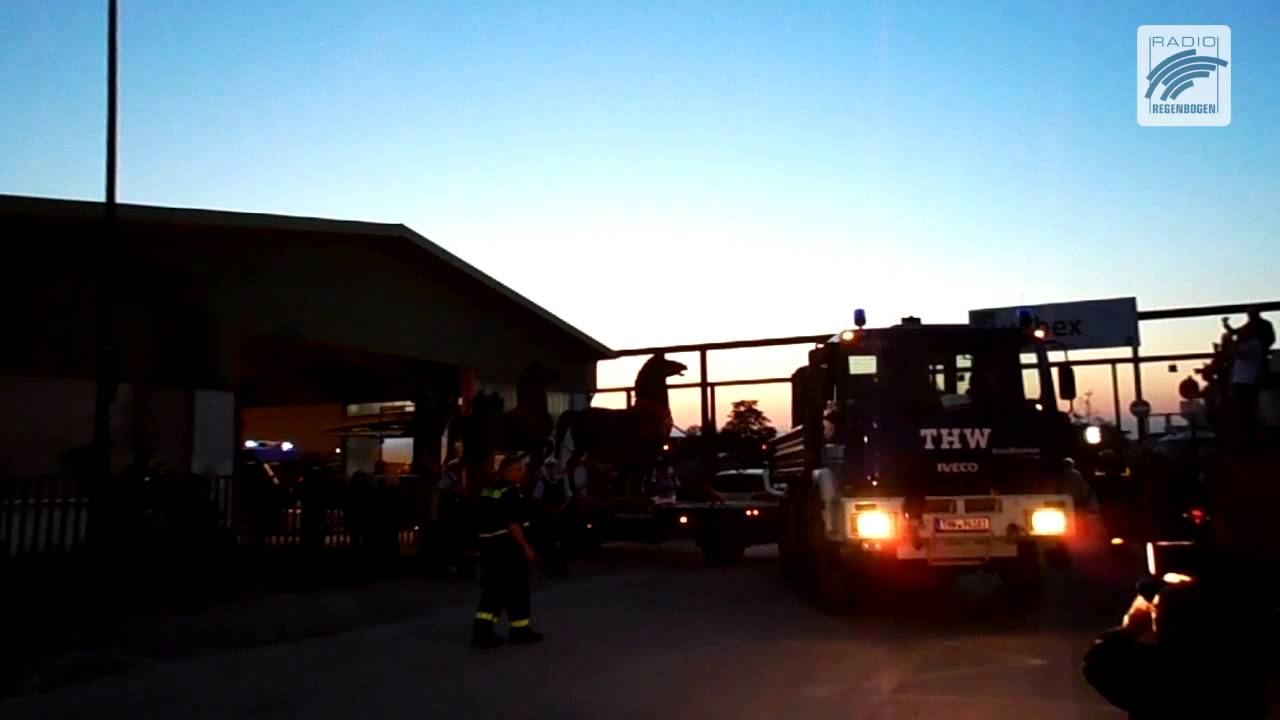 "Hitlers schreitende Pferde" in Bad-Dürkheim entdeckt! | Webreport | Nachrichten | Radio Regenbogen