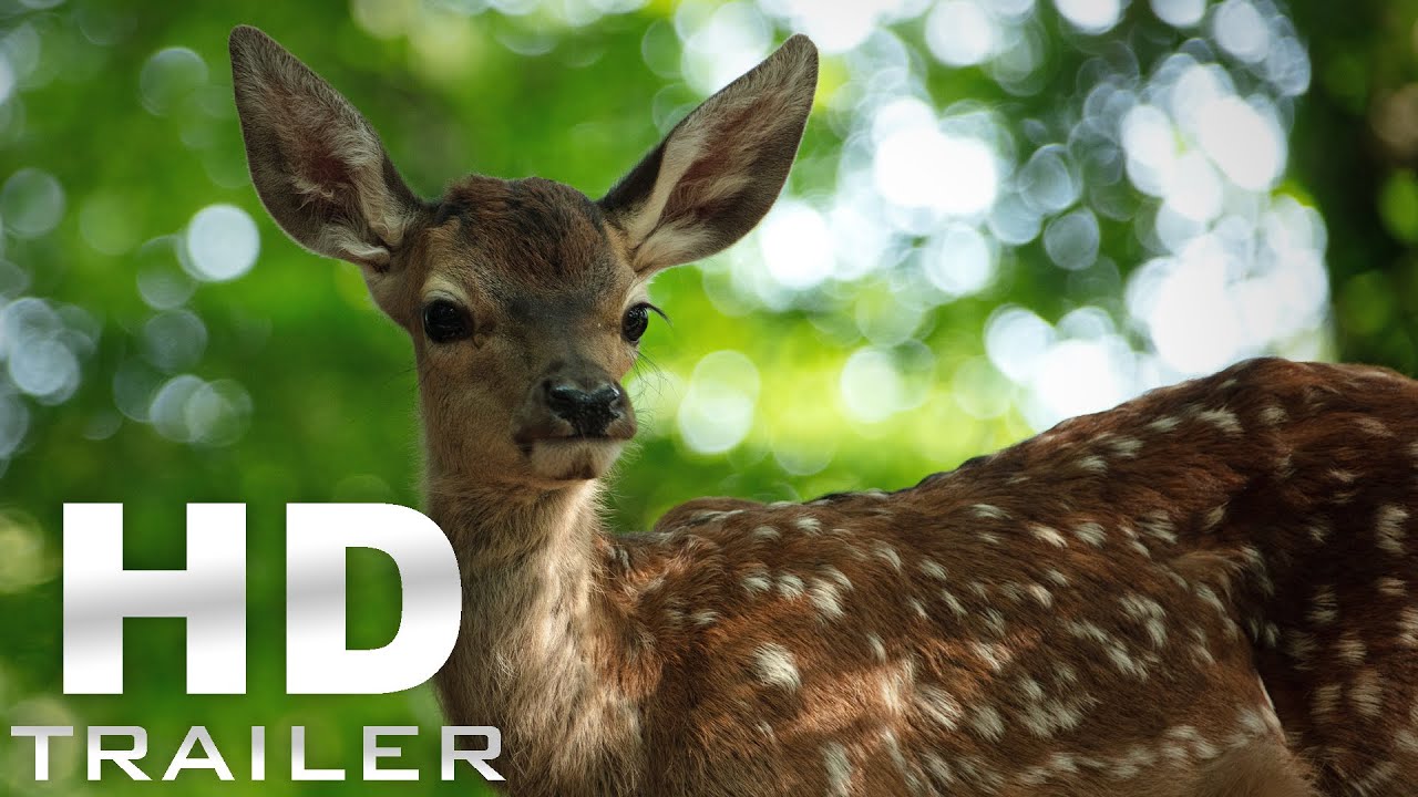 BAMBI - EINE LEBENSGESCHICHTE AUS DEM WALDE - Trailer | Ab 1. Mai im Kino