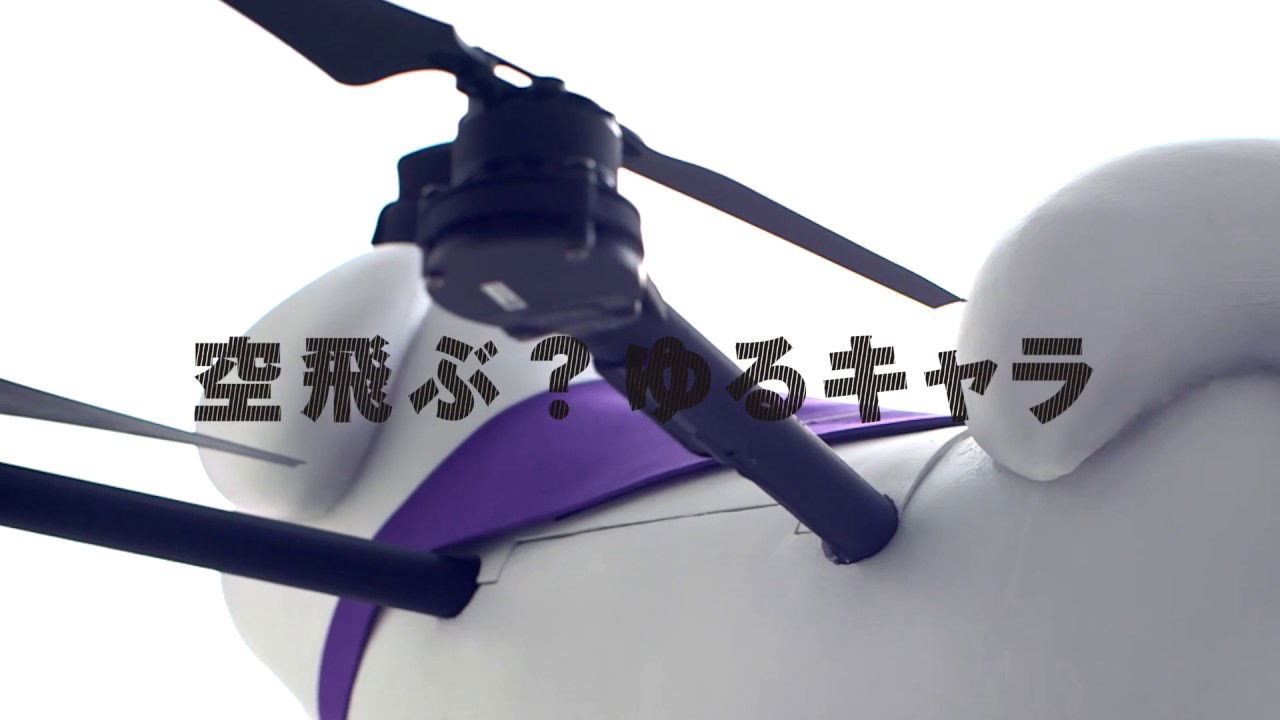 Zoom in yukimaru　  空飛ぶ雪丸の身体を徹底解剖