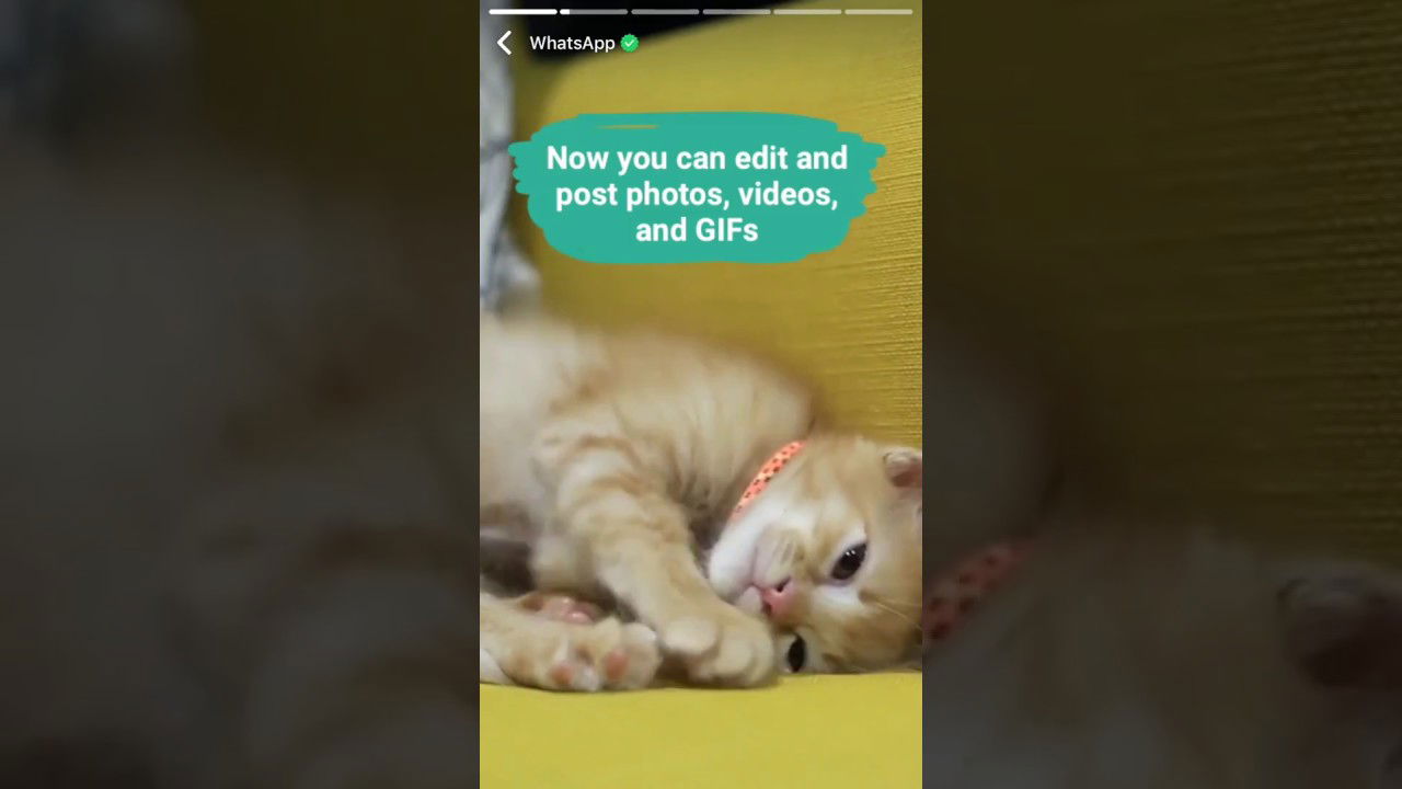 How to use WhatsApp Status