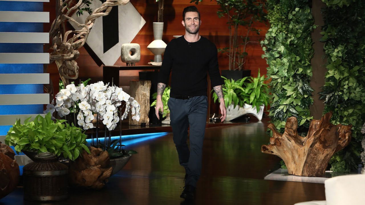 Adam Levine Reveals Gender of Baby Number Two
