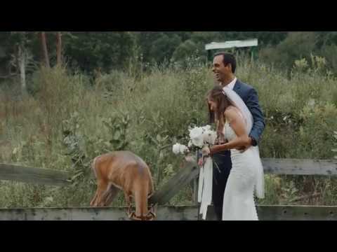 Famous Deer Crashes Wedding and Eats Brides Bouquet! | Saugatuck Wedding