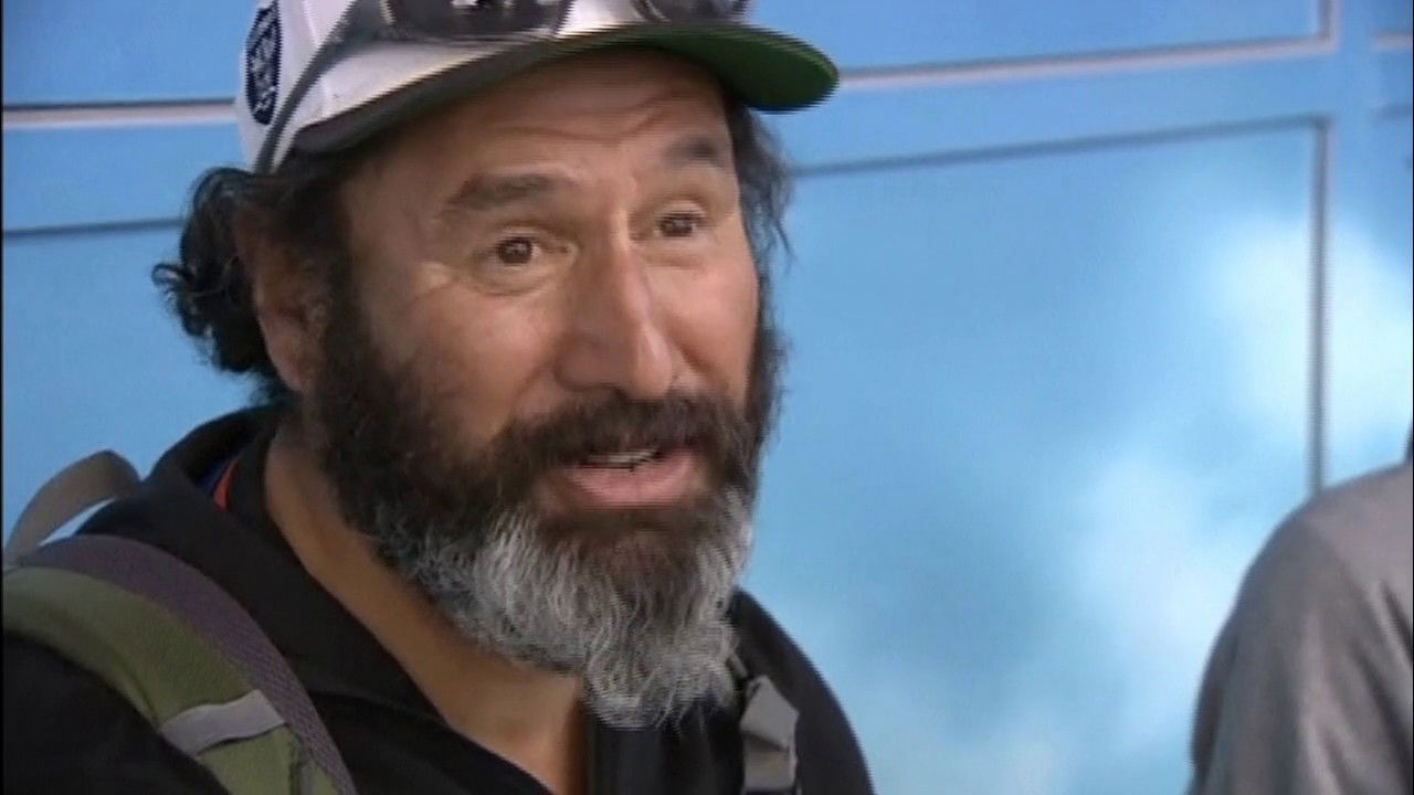 Auckland airport dog shot: Passengers react