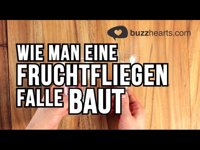 Wie man eine Fruchtfliegen Falle baut - Lifehack