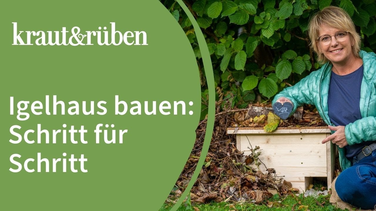 Igelhaus selber bauen 🦔 | Eine Schritt für Schritt-Anleitung