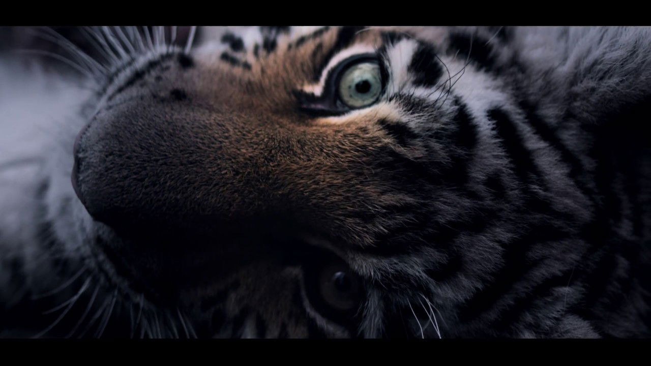 Kontra K - Mehr als ein Job (Official Video)