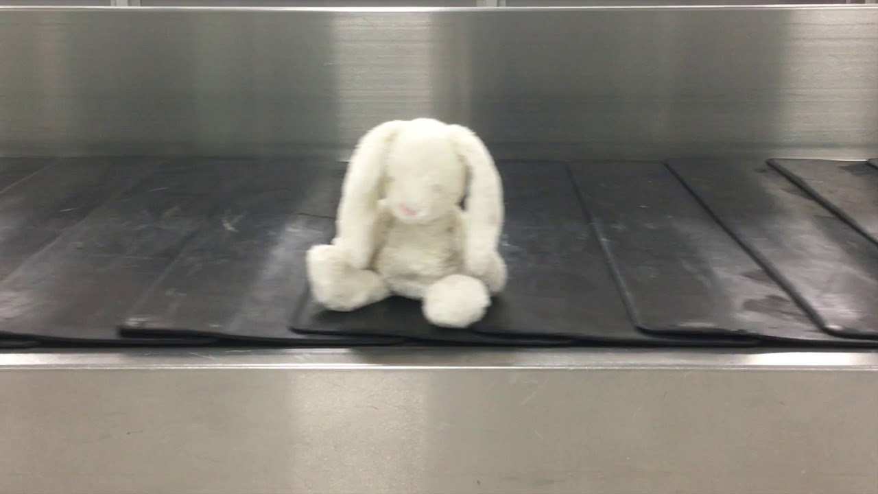 Lost teddies at Glasgow Bearport | Glasgow Airport