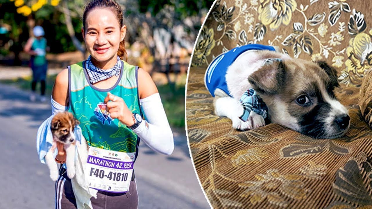 Marathon Runner Finds Lost Puppy Mid-Way Through Race