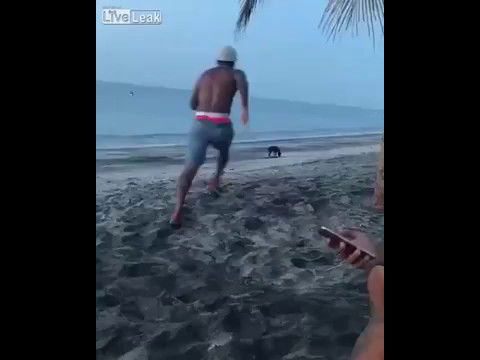 Man kicks dog see how karma takes over