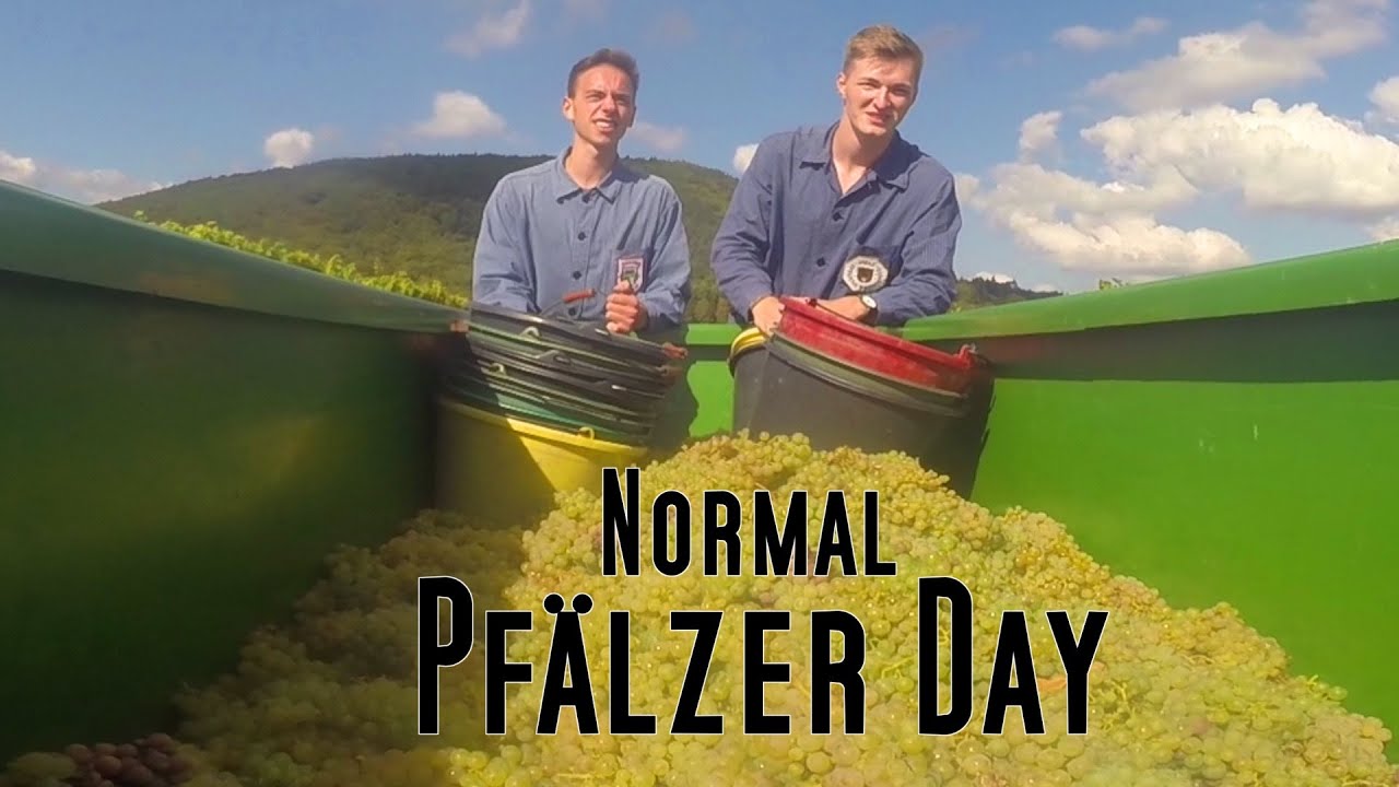 Normal Pfälzer Day