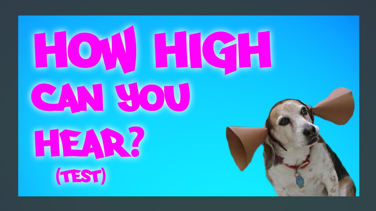 How High Can You Hear? [test]