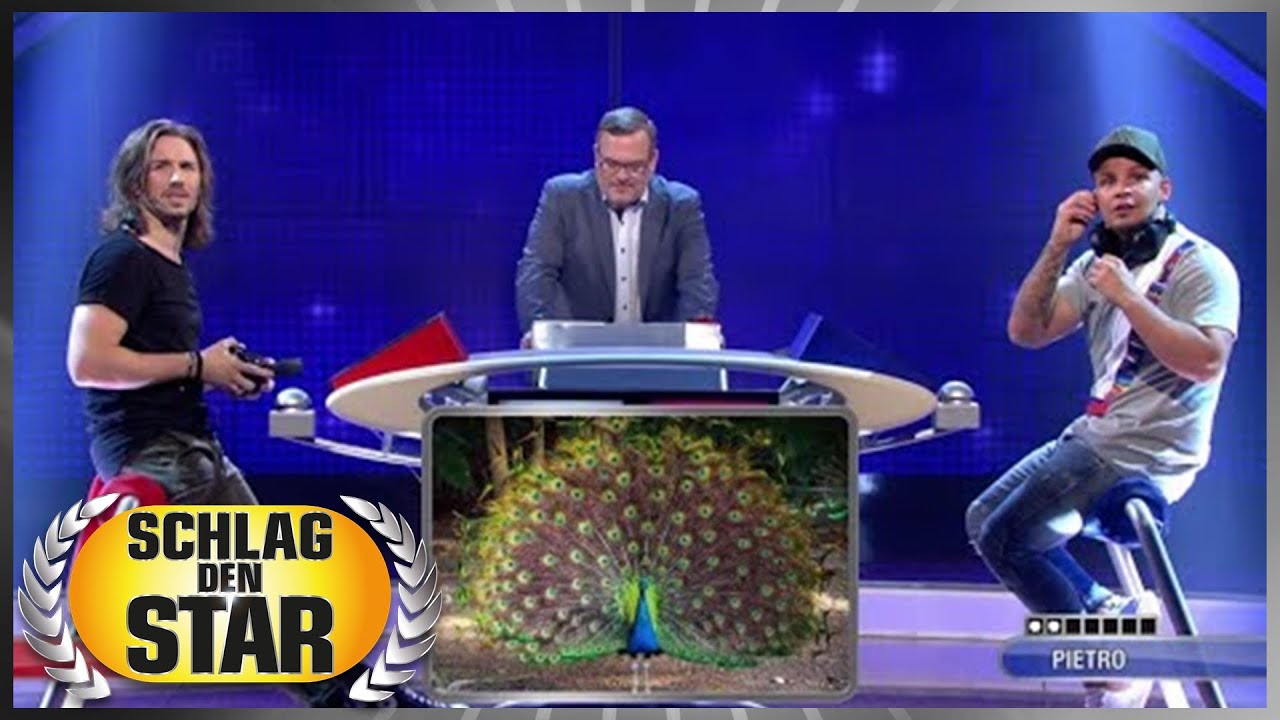 Tierstimmen | Pietro Lombardi vs. Gil Ofarim | Spiel 3 | Schlag den Star