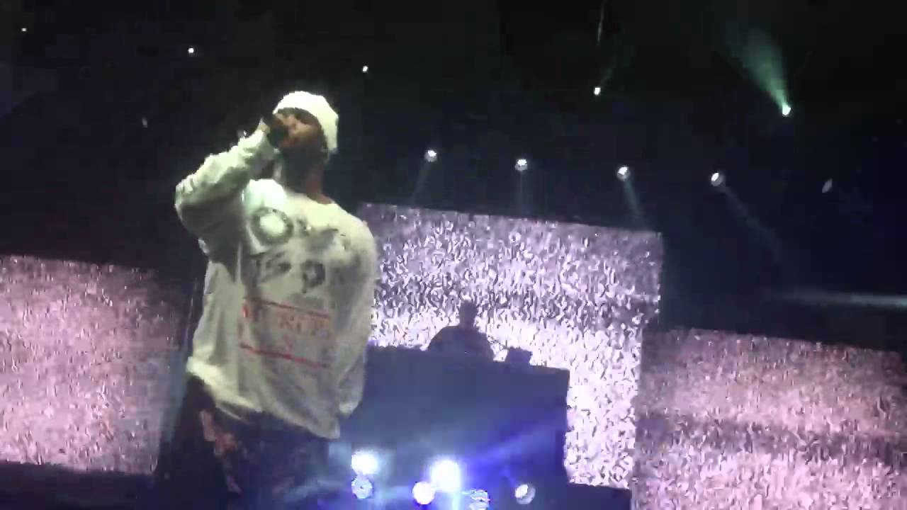 ASAP rocky and ASAP ferg crowd surfing @ bonnaroo '13 - "work"