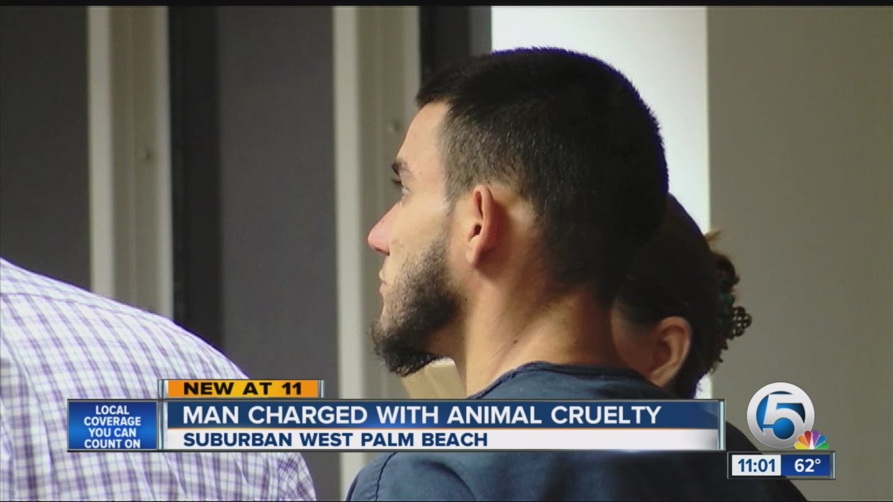 Dog found decapitated; 28-year-old man arrested