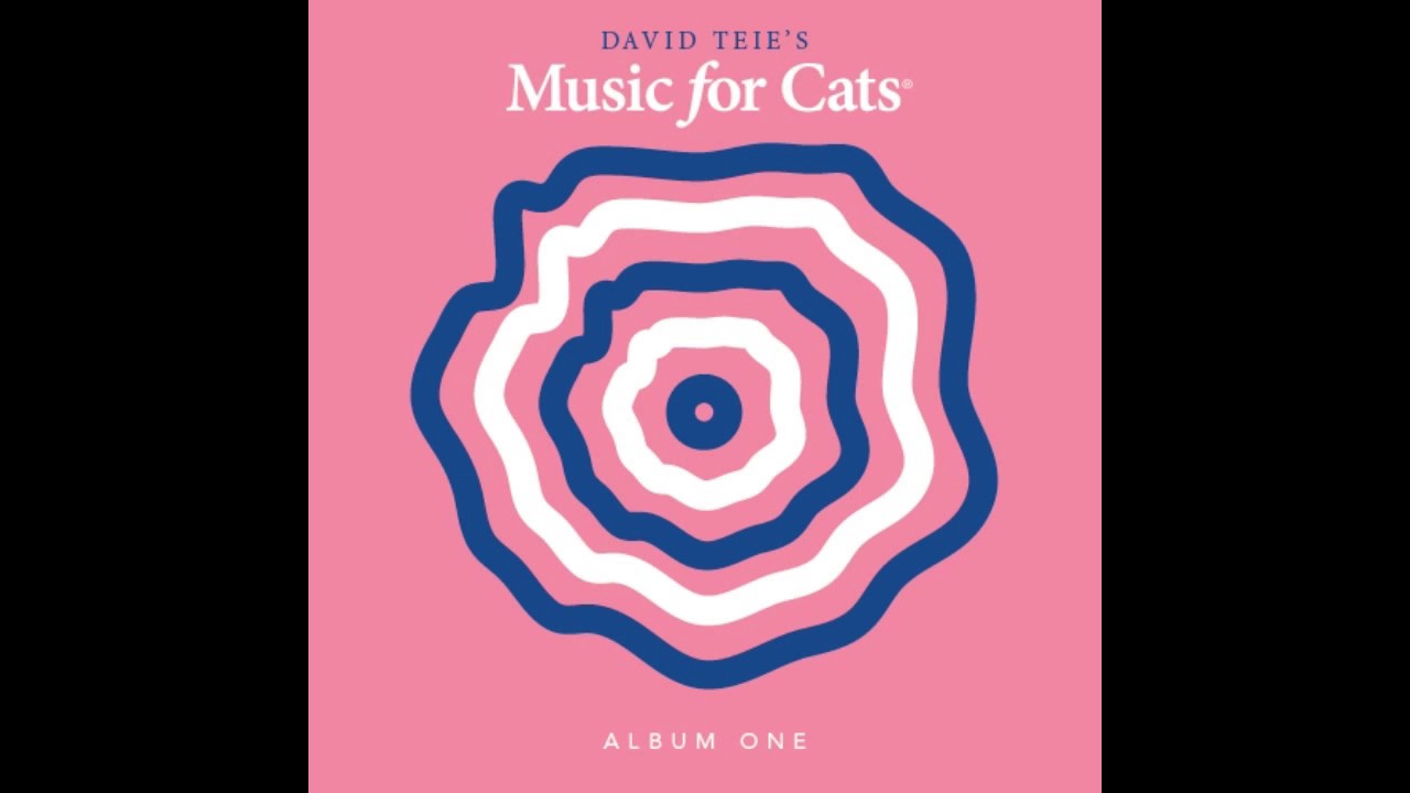 David Teie - Katey Moss Catwalk