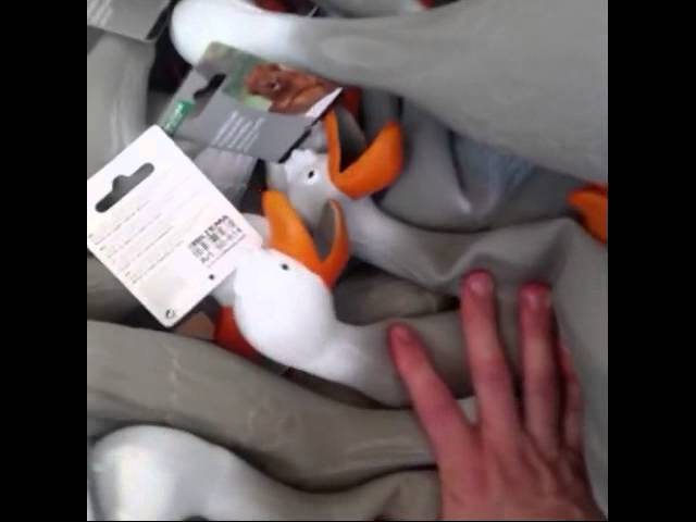 Duck Army - Vine