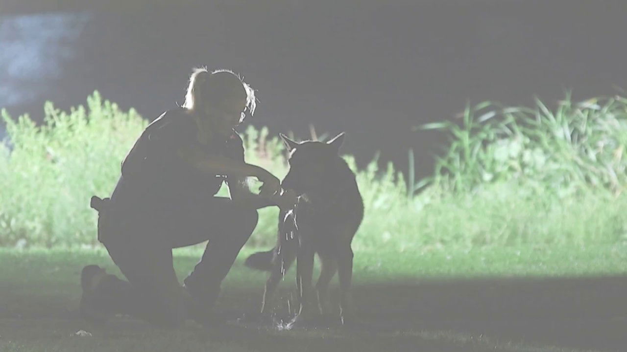 CPD Video Series Presents: Honoring our Hero; Police Canine BRIX