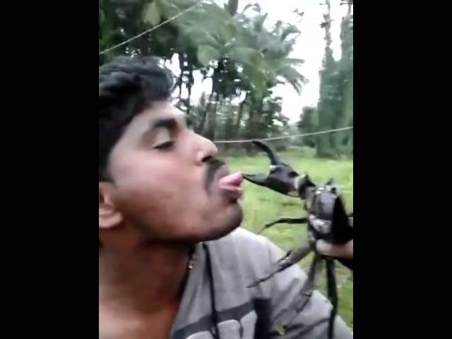 Man plays chicken with crab claw and loses