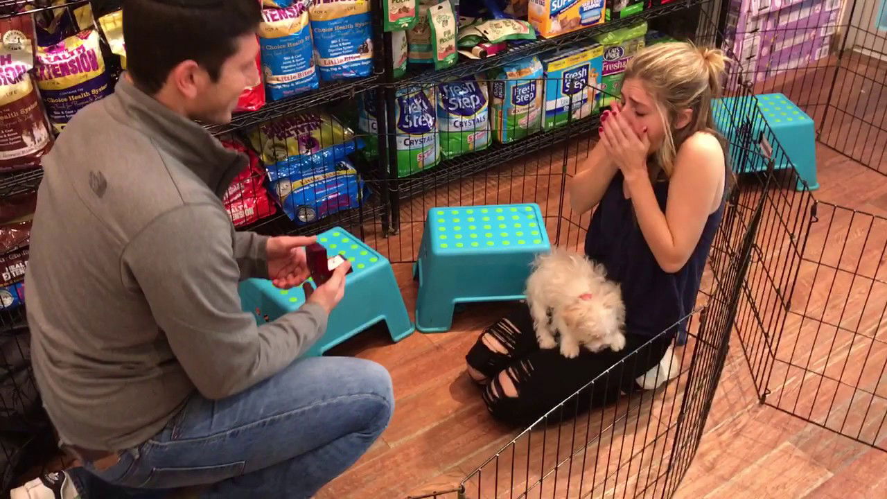 Guy proposes with puppy, girl nearly has heart attack