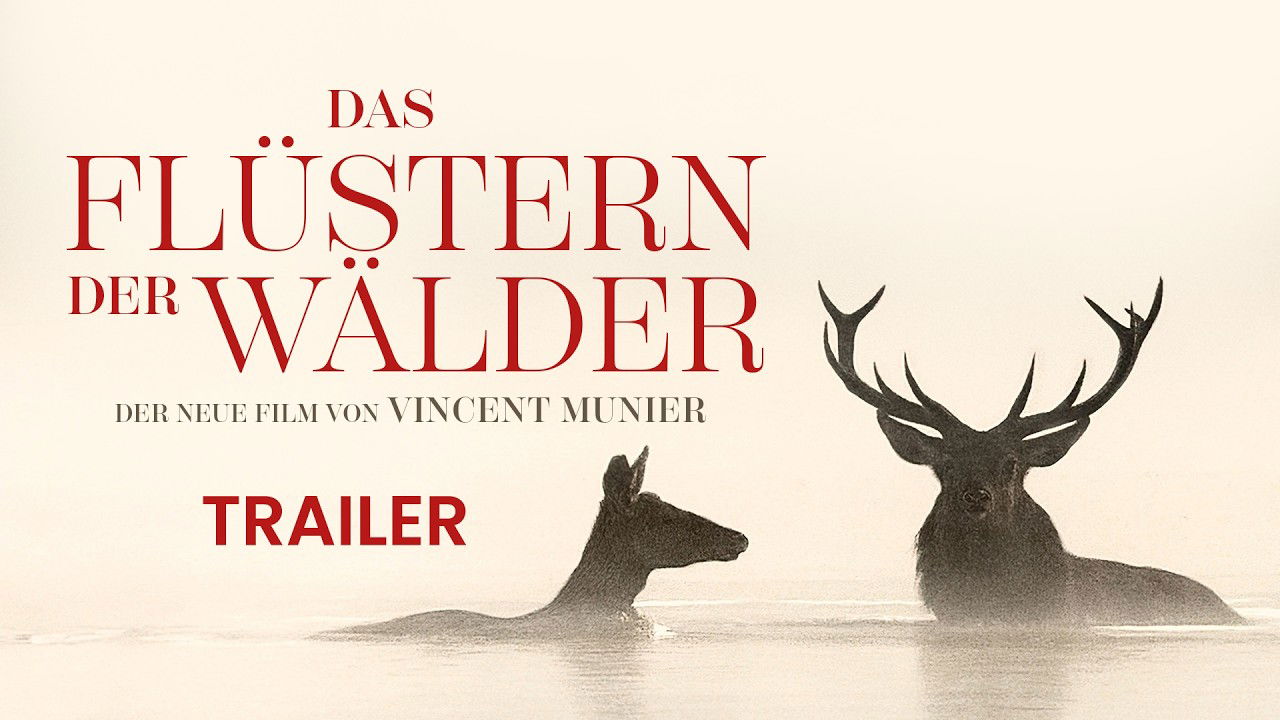 DAS FLÜSTERN DER WÄLDER I HD-Trailer I Ab 19. Februar 2026 im Kino