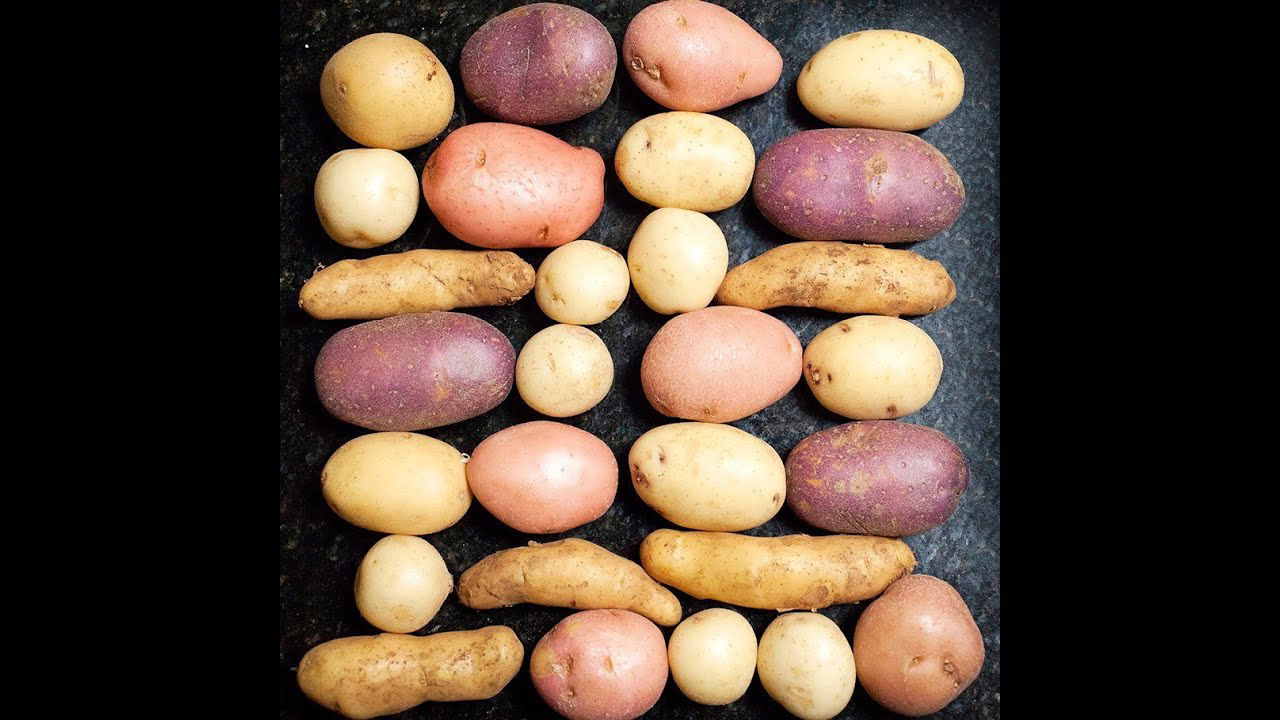 PotatoMagic Super Food Video 140313