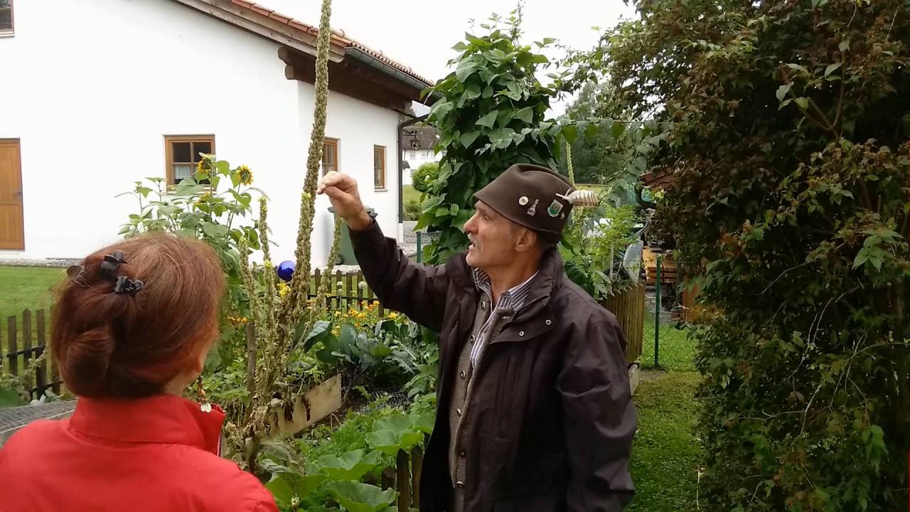 Wie wird der Winter 2016? Der Haslinger Sepp liest die Wetterkerze