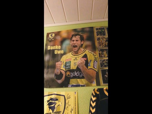 Fanwand Rhein-Neckar-Löwen