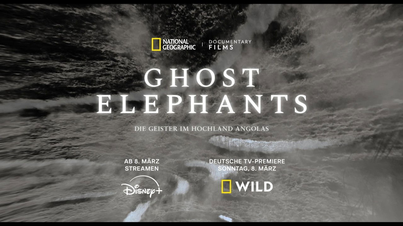 Ghost Elephants - Die Geister im Hochland Angolas | Am 8. März auf National Geographic WILD
