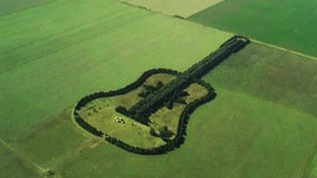 Man Plants Guitar Shaped Forest in Memory of His Wife | Argentina Great love Story