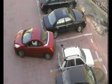 Do not steal someone's Parking Space! Especially woman's.