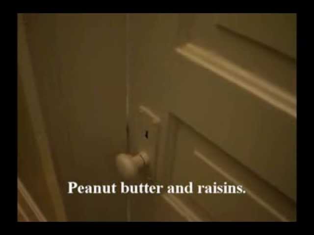 Potty Talk! [Original] 3 year old contemplates the effects of his diet on the toilet