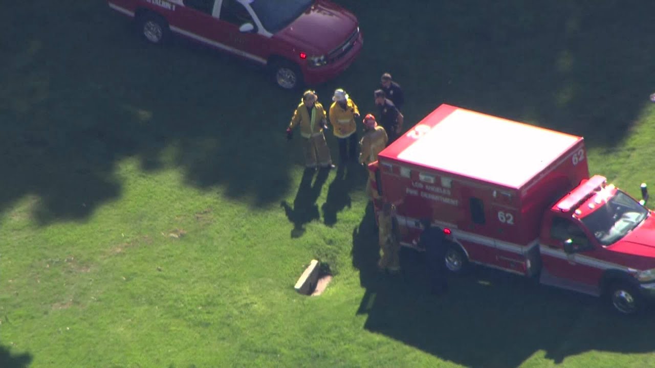 Harrison Ford small plane crash