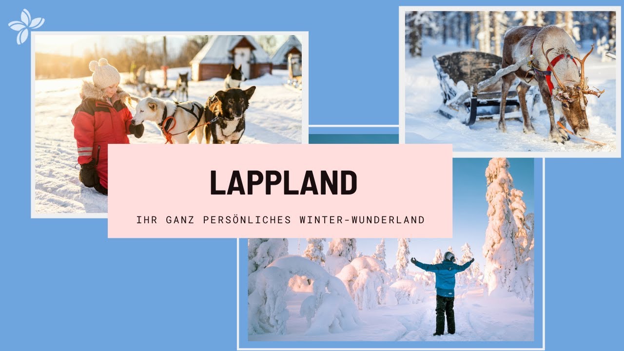 Winterurlaub in Lappland - die Highlights [Huskys, Schneeschuhe, Polarlichter in 90 Sekunden]