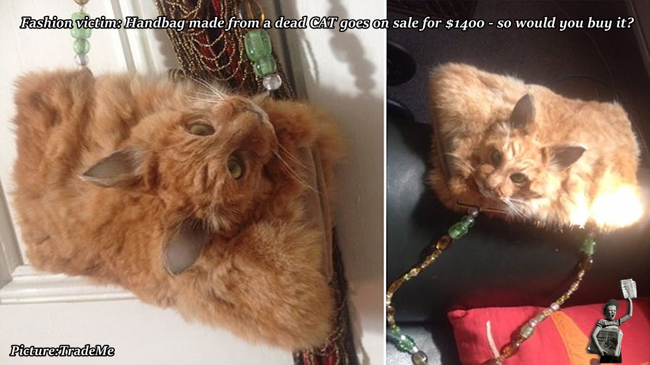 Online outrage after dead cat handbag goes up for auction on Trade Me
