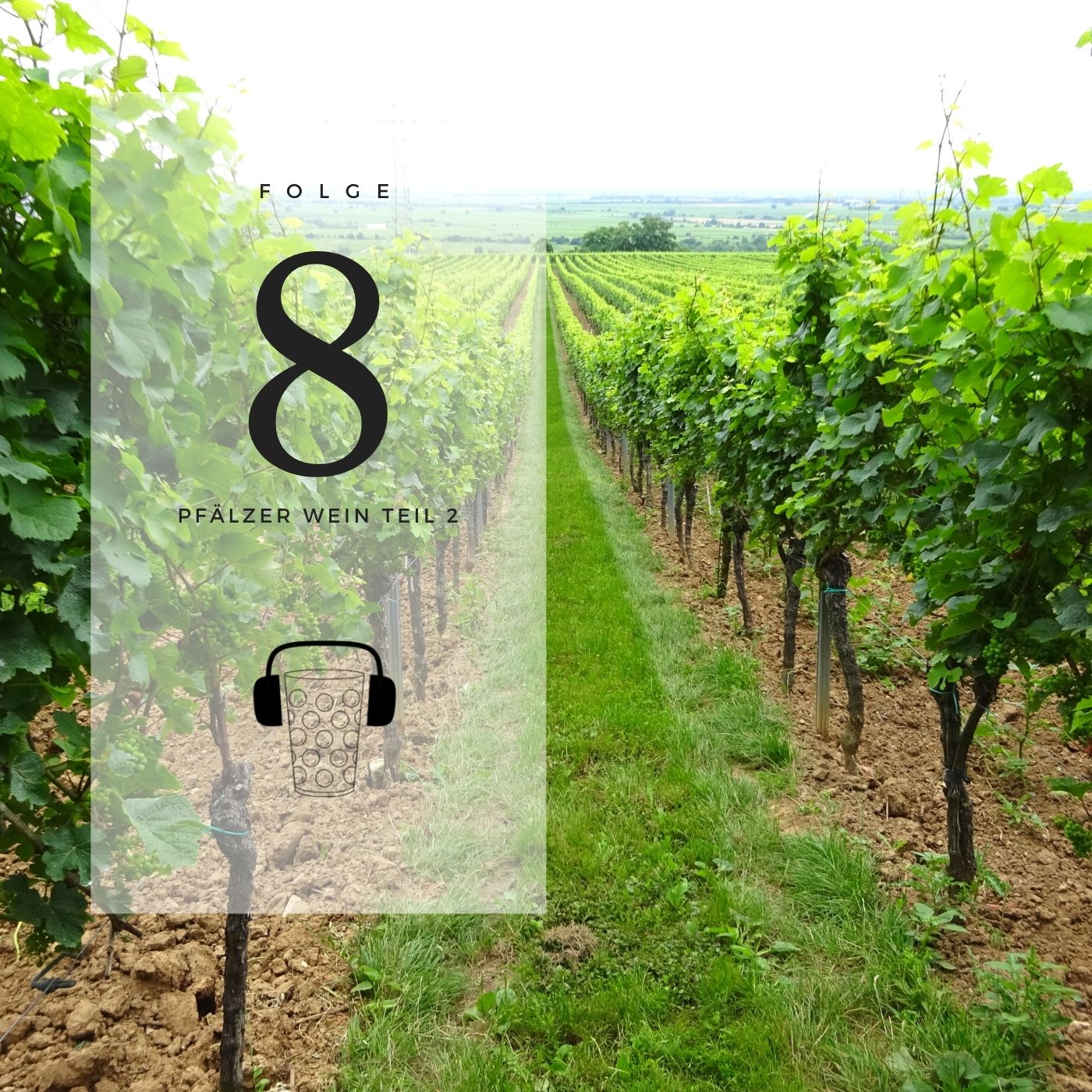 Pfälzer Wein 2