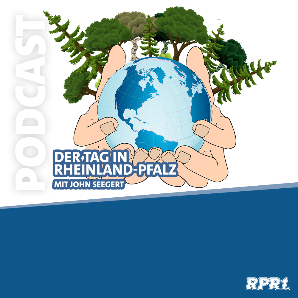 SPEZIAL - Ecosia: Die Suchmaschine, die Bäume pflanzt