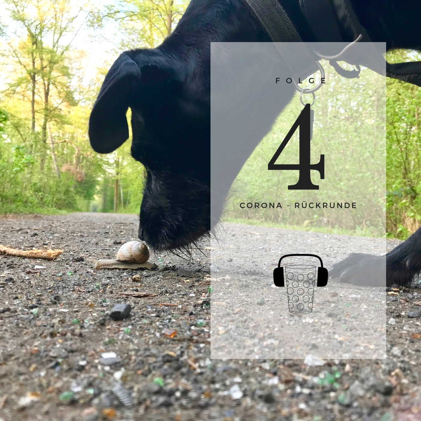 Corona – Rückrunde