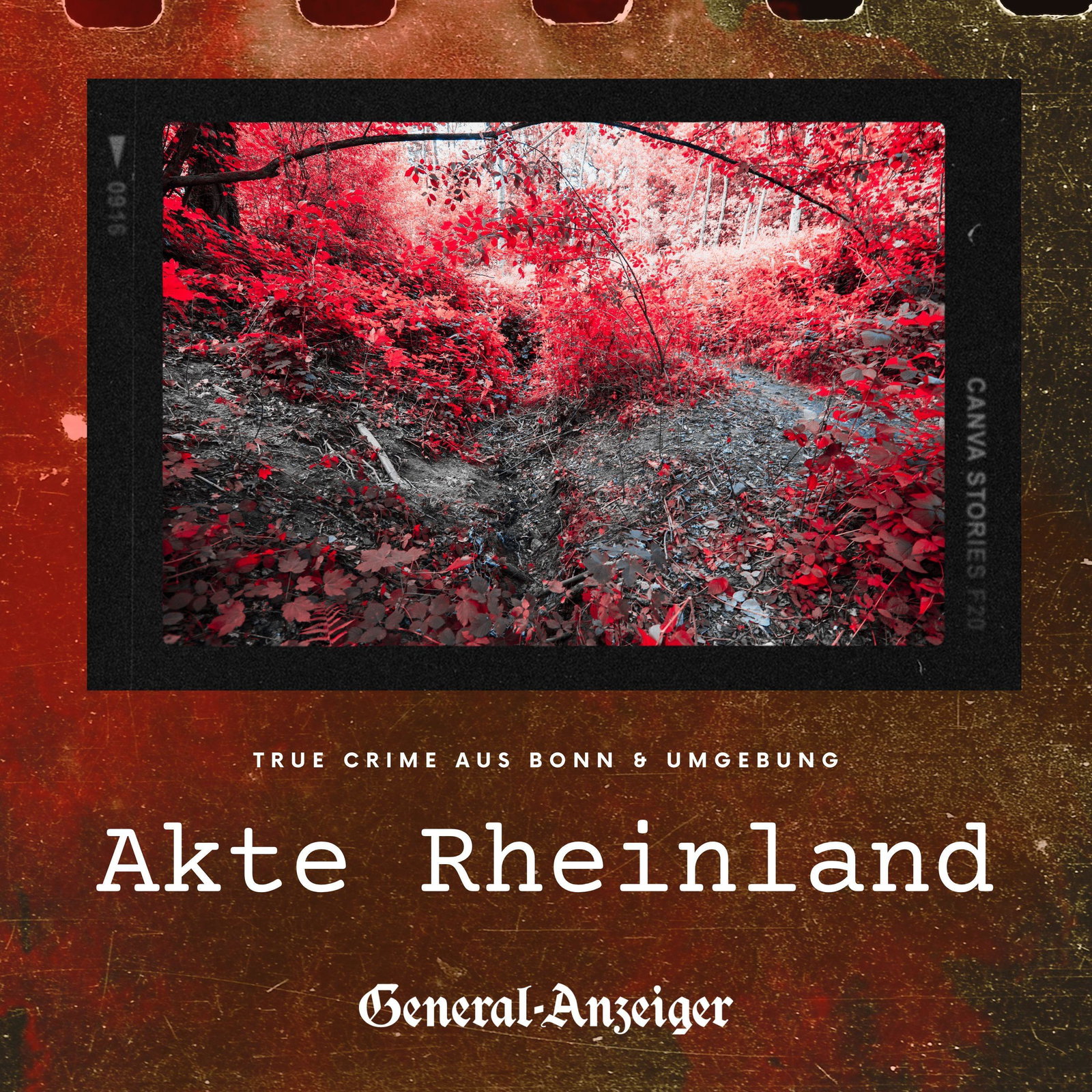 Der Tote im Wald