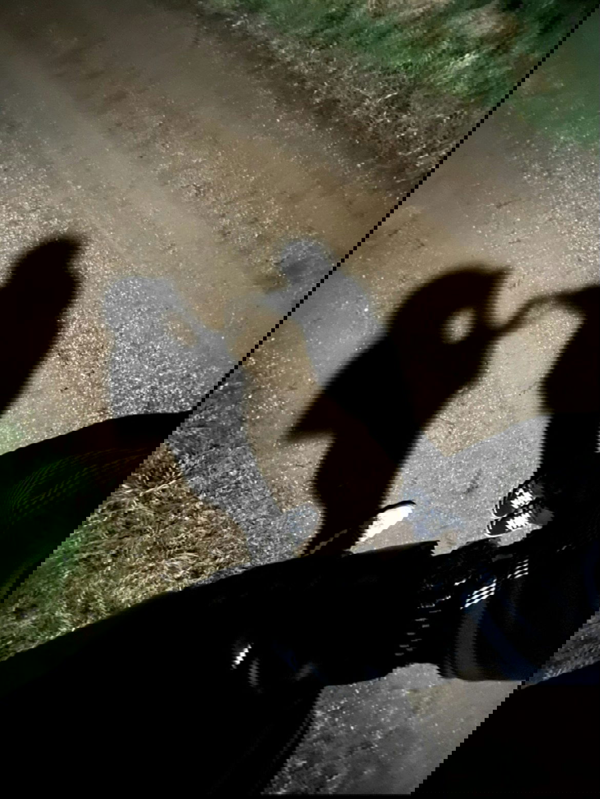 Liam Scholz Newcomer 2025